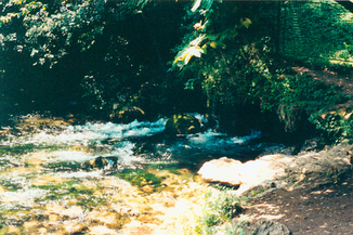 Quelle der Bosna nahe Ilidža