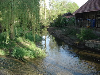 Der Abfluss des Oberwillinger Springs (links) mündet in die Wipfra
