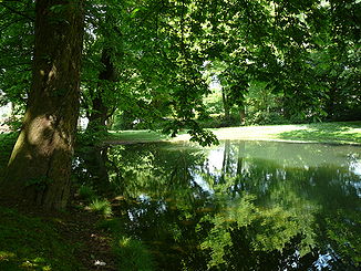 Der Teich des Stackenberger Bachs