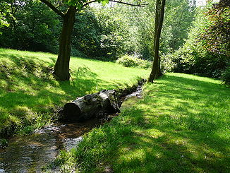 Stackenberger Bach vor dem Einlauf in den Teich