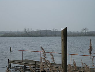 Röggeliner See bei KlockstorfBlick auf die Kormorankolonie