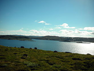 Rosskreppfjorden bei der Insel Botnshaug.