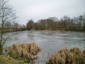 Schleußer Teich im Winter mit Eisdecke, Blick von Westen