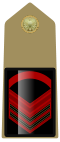Rank insignia of caporalmaggiore capo of the Army of Italy (1973).svg
