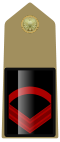 Rank insignia of primo caporalmaggiore of the Army of Italy (1973).svg