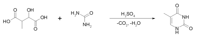 Thymine synthesis 2.png