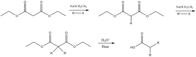 Dialkylation malonic ester synthesis mechanism.png