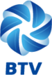BTV Logo.png