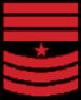 CSG-Badge-SGM.jpg