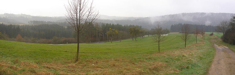 Typische Südeifel-Landschaft nahe Speicher bei Bitburg.