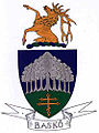 Wappen von Baskó