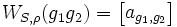{W_{S,\rho}}({g_1}{g_2})=\begin{bmatrix}{a_{{g_1},{g_2}}}\end{bmatrix}