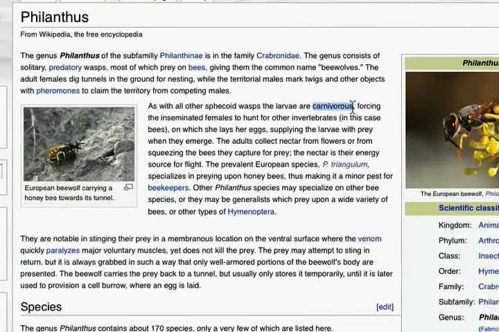 Wikipedia tutorial - How to make links.ogg