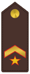 Insignia de Sub-teniente