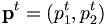 \mathbf{p}^t = (p_1^t, p_2^t)