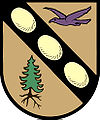 Wappen von Aigen im Ennstal