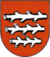 Wappen von Knittelfeld