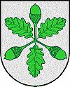 ehemaliges Gemeinde-Wappen von Aichen
