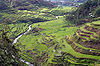 Banaue rice terraces 1.jpg