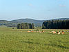 CHKO Český les (CZE) - typical landscape.jpg