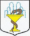 Inoffizielles Wappen von Cieplice Śląskie