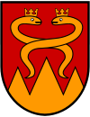 Wappen von Geboltskirchen