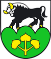 Wappen von Stará Turá