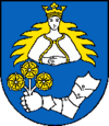 Wappen von Tisovec