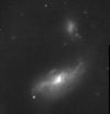 Collision NGC4485 4490.jpg