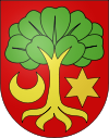 Amtsbezirk Erlach