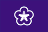 Flagge/Wappen von Kitakyūshū