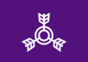Flagge/Wappen von Miyakonojō