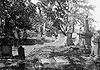 Forks of Cypress Cemetery (Florence, Alabama).jpg