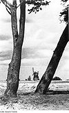 Fotothek df rp-a 0460027 Kamminke. Blick zur Holländermühle, aus einem Bildband über Usedom, 1961.jpg