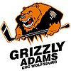 Logo der Grizzly Adams Wolfsburg