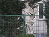 GuentherZ 2011-03-10 1296 Wien17 Dornbacher Strasse124a Statue Johannes Nepomuk.jpg