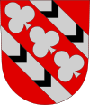 Wappen von Hämeenkoski