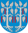 Wappen von Jalasjärvi