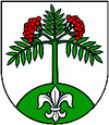 Wappen von Jarabina