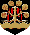 Wappen von Leppävirta