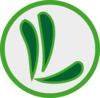 BRG Lan - Logo