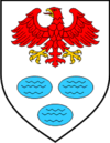 Wappen von Lokvičići