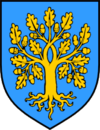 Wappen von Malinska-Dubašnica