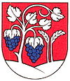 Wappen von Mojmírovce