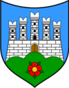 Wappen von Motovun - Montona