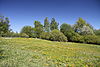 Natural monument Chvalsovicke pastviny in 2011 (31).JPG
