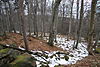 Natural reservation Skocicky hrad in winter (12).JPG