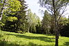 Nature reserve Kralovicke louky in 2011 (7).JPG