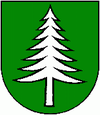 Wappen von Oravská Lesná