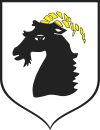 Wappen von Głuchołazy